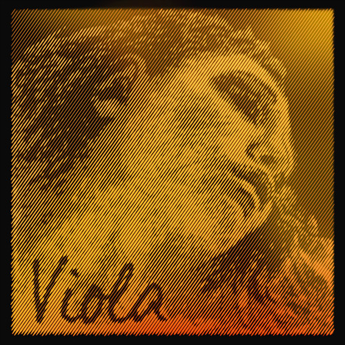 Evah Pirazzi oro Viola, Cuerda-Re, medio 